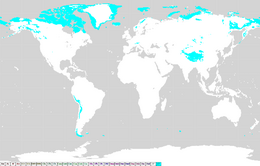 ツンドラ気候 Wikipedia