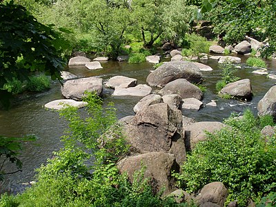 Река Уж в городском парке