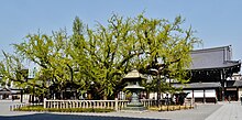 Tiedosto:Kyoto_Nishi_Hongan-ji_Hof_5.jpg