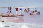 Miniatuur voor Roze Meer