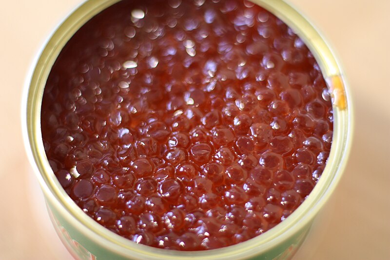 File:Lachskaviar, Salmon roe, Red caviar, Красная икра 006.JPG