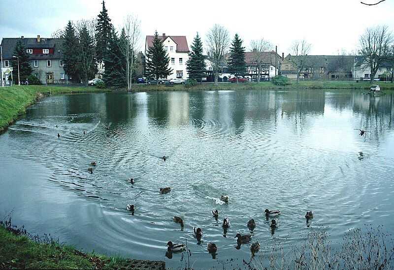 File:Langenleuba-Niederhain, der Teich.jpg