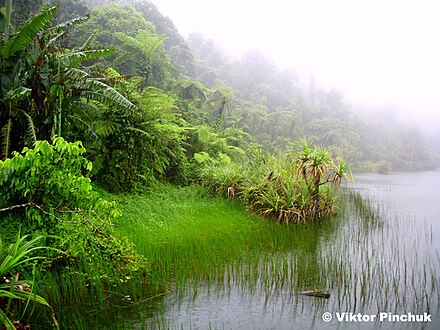 The Lanotoo volcanic lake.