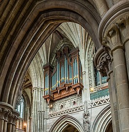 The organ