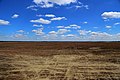 Juli/August 2015 Die Lieberoser Wüste ist die größte Wüste Deutschlands.