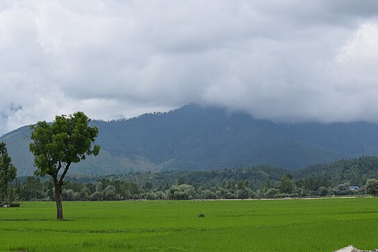 Lolab Valley-Kupwara.JPG