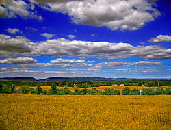 Lebih Rendah Mount Bethel Township vista