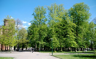 <span class="mw-page-title-main">Lundagård (park)</span>