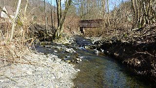 Krumme Lutter river in Germany