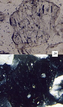 An aphanitic volcanic sand grain, with fine-grained groundmass, as seen under a petrographic microscope LvMS-Lvv.jpg