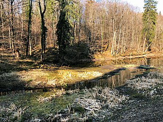 Mühlbach in front of the Mühlweiher