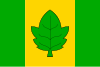 Flag of Město Albrechtice