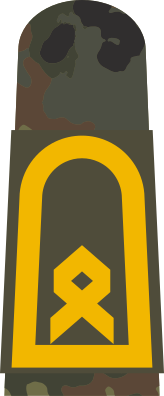 File:MA OG5 33 Hauptbootsmann.svg