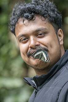 MG 9627 Portrait with Butterfly.jpg