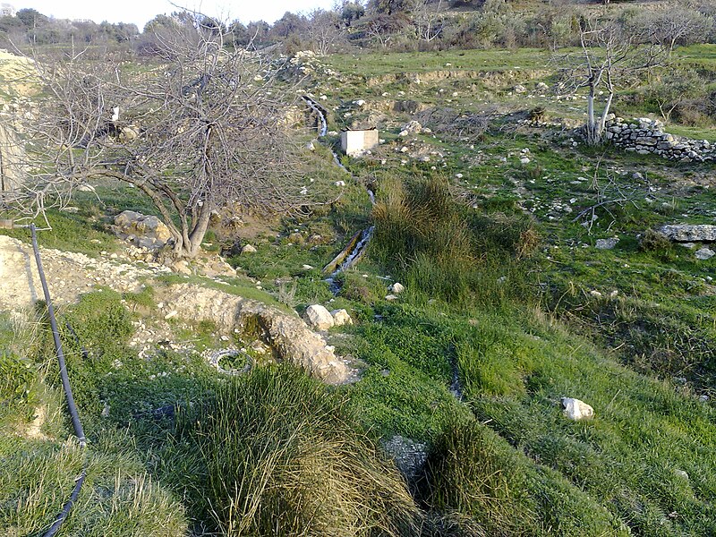 File:Mahis Ain Abu Jurban.jpg