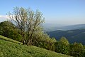 * Nomination Malá Fatra, Slovakia - view from Reváň --Pudelek 13:06, 29 May 2018 (UTC) * Promotion  Support Good quality. --Podzemnik 13:52, 29 May 2018 (UTC)