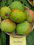 Mallika (mango) - Wikipedia