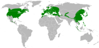 Map genus Acer.png
