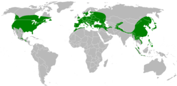 Mapa světového rozšíření rodu