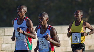 Marathon de Toulouse 2014