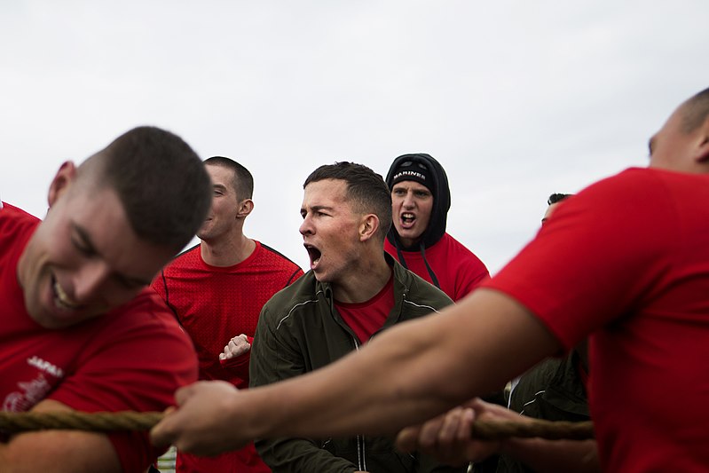 File:Marines, sailors compete in Jingle Bell Challenge 141219-M-IN448-458.jpg