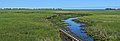 * Nomination Marsh Boardwalk, Point Pelee National Park, Canada. --The Cosmonaut 04:08, 1 February 2021 (UTC) * Promotion  Support Good quality -- Johann Jaritz 04:25, 1 February 2021 (UTC)