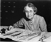 Mary Agnes Chase (1869-1963), sitting at desk with specimens.jpg