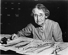 Mary Agnes Chase (1869-1963), botaniste spécialiste des plantes sud-américaines, travaillant à son herbier