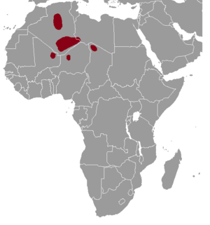 Massoutiera mzabi range map.png