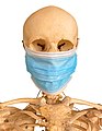 Memento Mori with Surgical Mask 20200425 5001 BG White Portrait.jpg