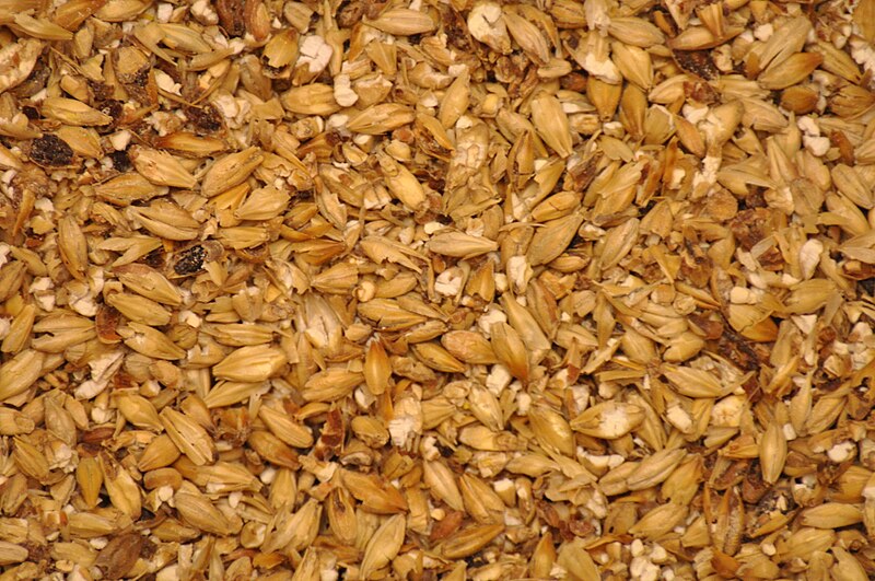 File:Milled Malted Barley.JPG