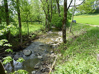 The Mionne at Moulin de Villard in the municipality of Saint-Martin