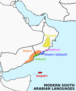 Modern South Arabian languages Group of South Semitic languages of Arabia and Socotra