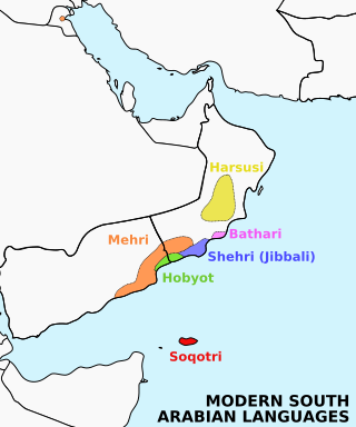 <span class="mw-page-title-main">Ḥarsusi language</span> Semitic language spoken in Oman