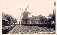 Molen De Zwaluw, Hasselt (Overijssel) -Een historisch foto van de molen ws in het Interbellum gemaakt.
