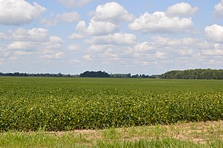 <span class="mw-page-title-main">Montgomery Township, Marion County, Ohio</span> Township in Ohio, United States