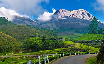 Fichier:Munnar_hillstation_kerala.jpg