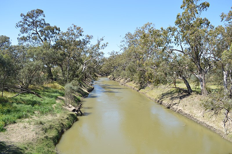 File:Murrin Bridge Lachlan River 001.JPG