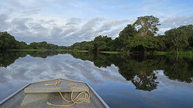 Nature-forest-boat-lake-river-canal-1175047.jpg