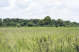 Nature reserve Feuchtwiese Hansell