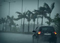 Pluie dans Palm beach