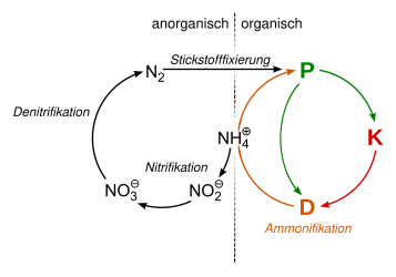 Nitrogen cycle.svg