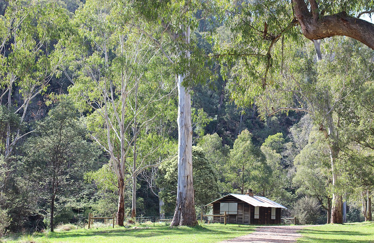 Epic Victorian High Country 4WD Tracks Open In Winter