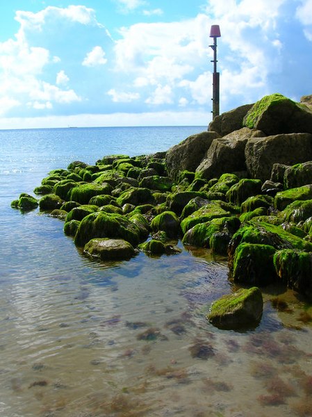 File:Outfall, Pagham Beach - geograph.org.uk - 501043.jpg