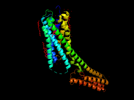P2Y12 structure as generated by PYMOL with color-coded helices
