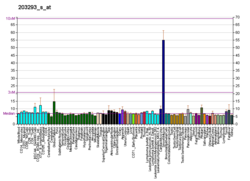 PBB GE LMAN1 203293 s fs.png'de