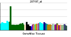 PBB GE ZIC3 207197 ĉe tn.png