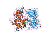 PDB 1o6g EBI.jpg