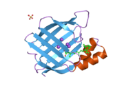 2g79: Crystal Structure of the R132K:Y134F Mutant of Cellular Retinoic Acid Binding Protein Type II in Complex with All-Trans-Retinal at 1.69 Angstroms Resolution