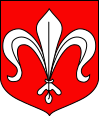 Wappen von Radzanów